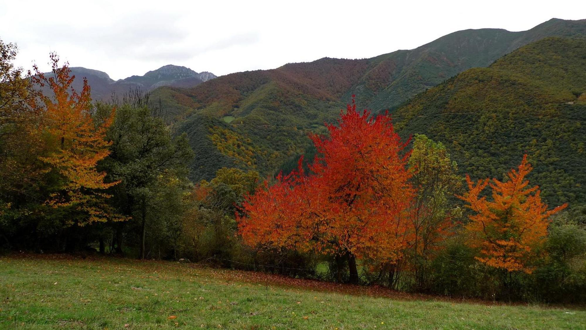 Casa Rural Los Llares Lerones Екстериор снимка